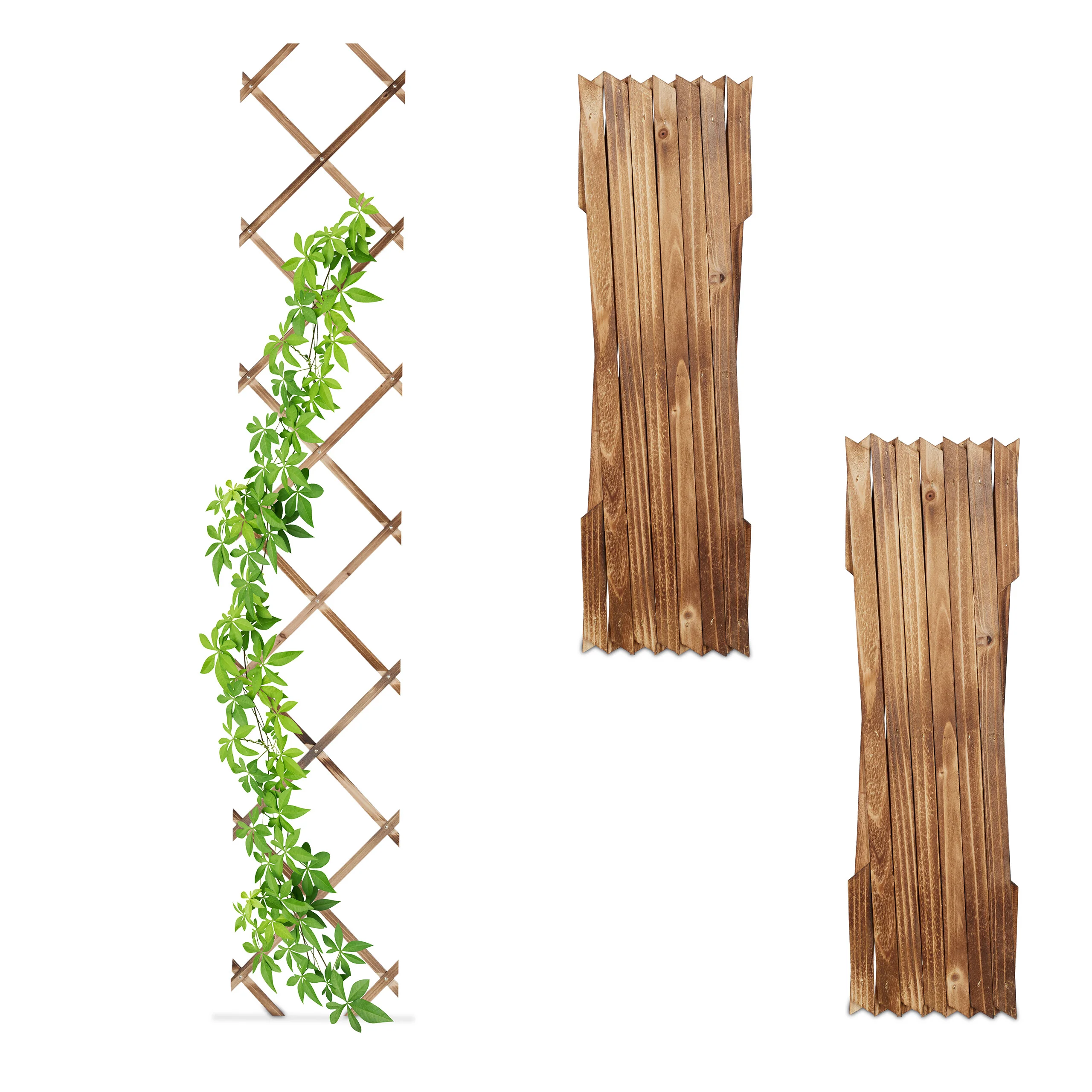 Haus & Garten
